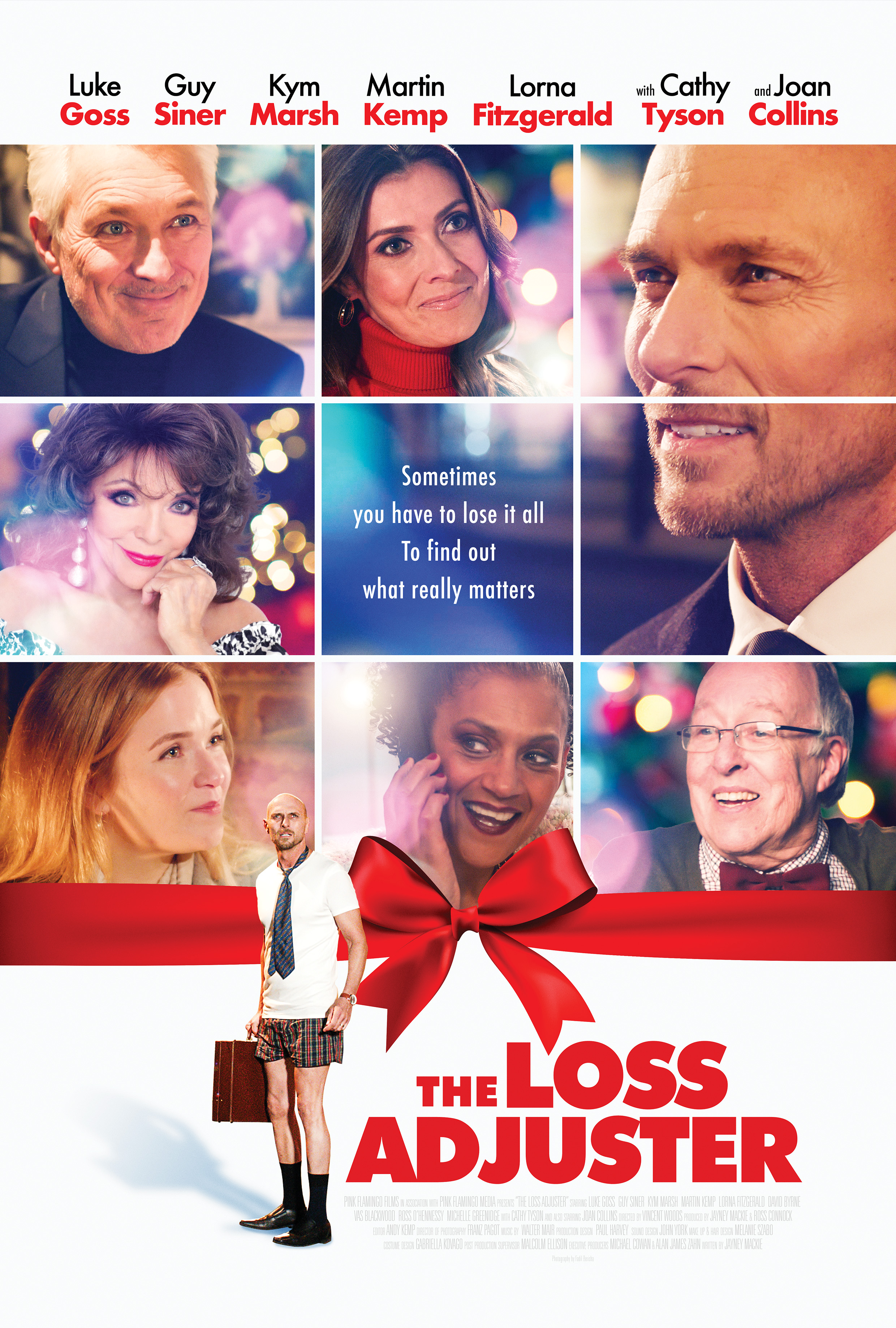Poster of The Loss Adjuster