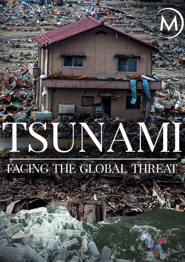 Tsunami facing the global threat review