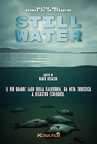 Primary photo for Still Water - Salton Sea