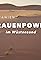 Mauritanie, à la rencontre des femmes du désert's primary photo
