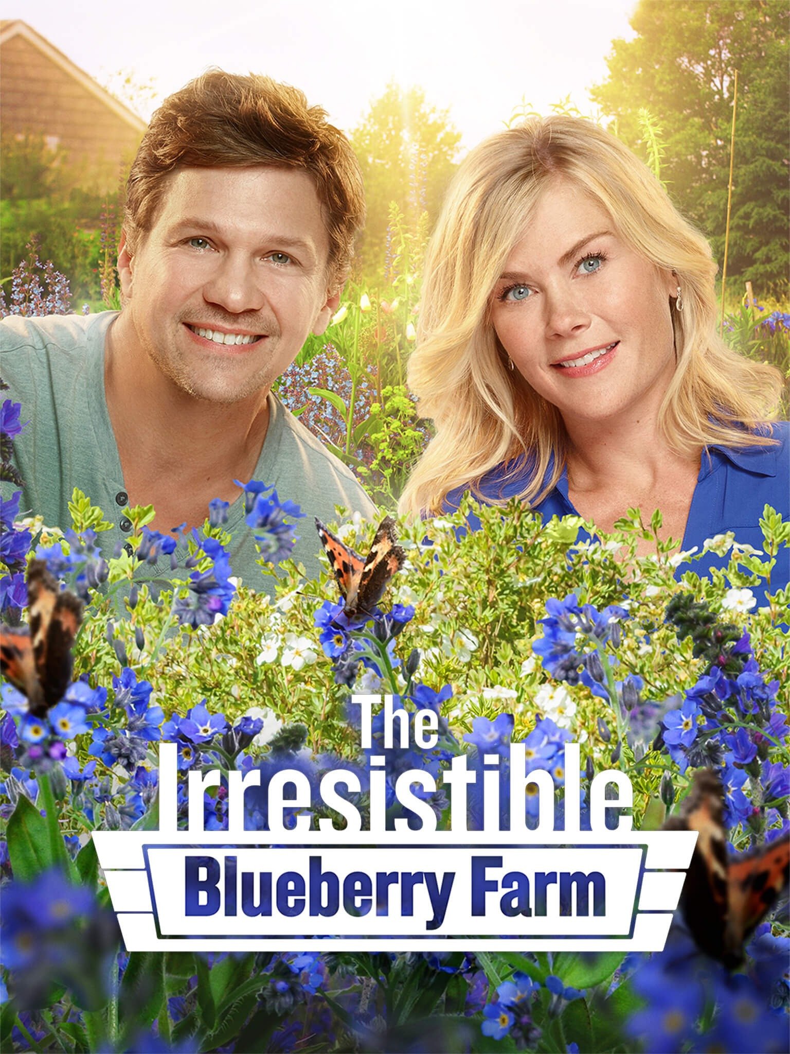 Poster of The Irresistible Blueberry Farm