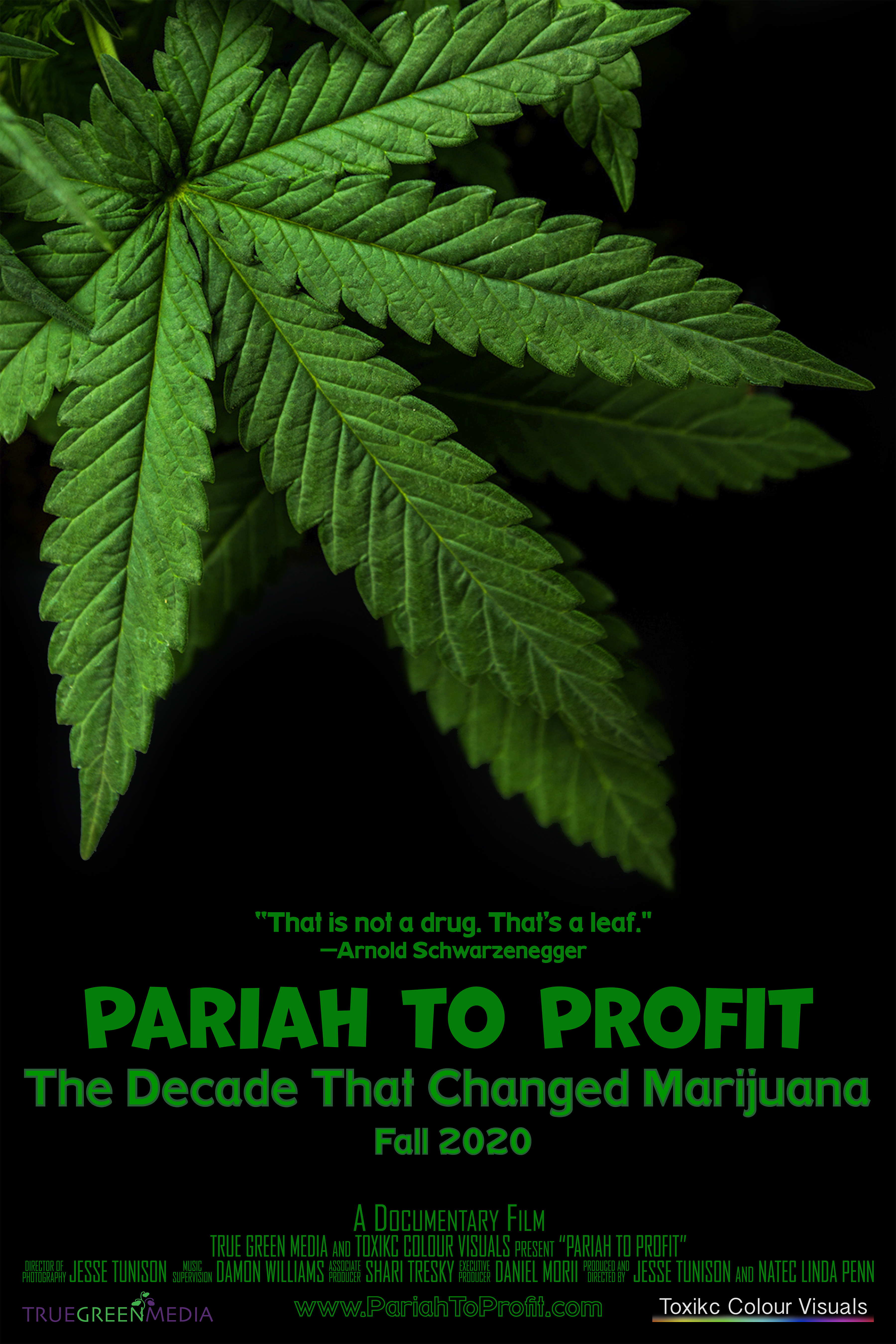 Pariah to Profit: Accepting the Power of Marijuana