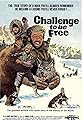 Challenge to Be Free's primary photo