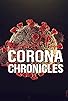 Primary photo for Corona Chronicles