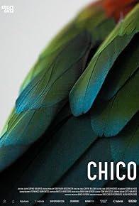 Primary photo for Chico