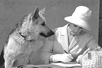 पोस्टर देखें