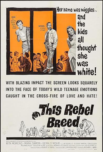 Primary photo for This Rebel Breed Primary photo for This Rebel Breed