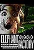 Primary photo for Elephant Factory