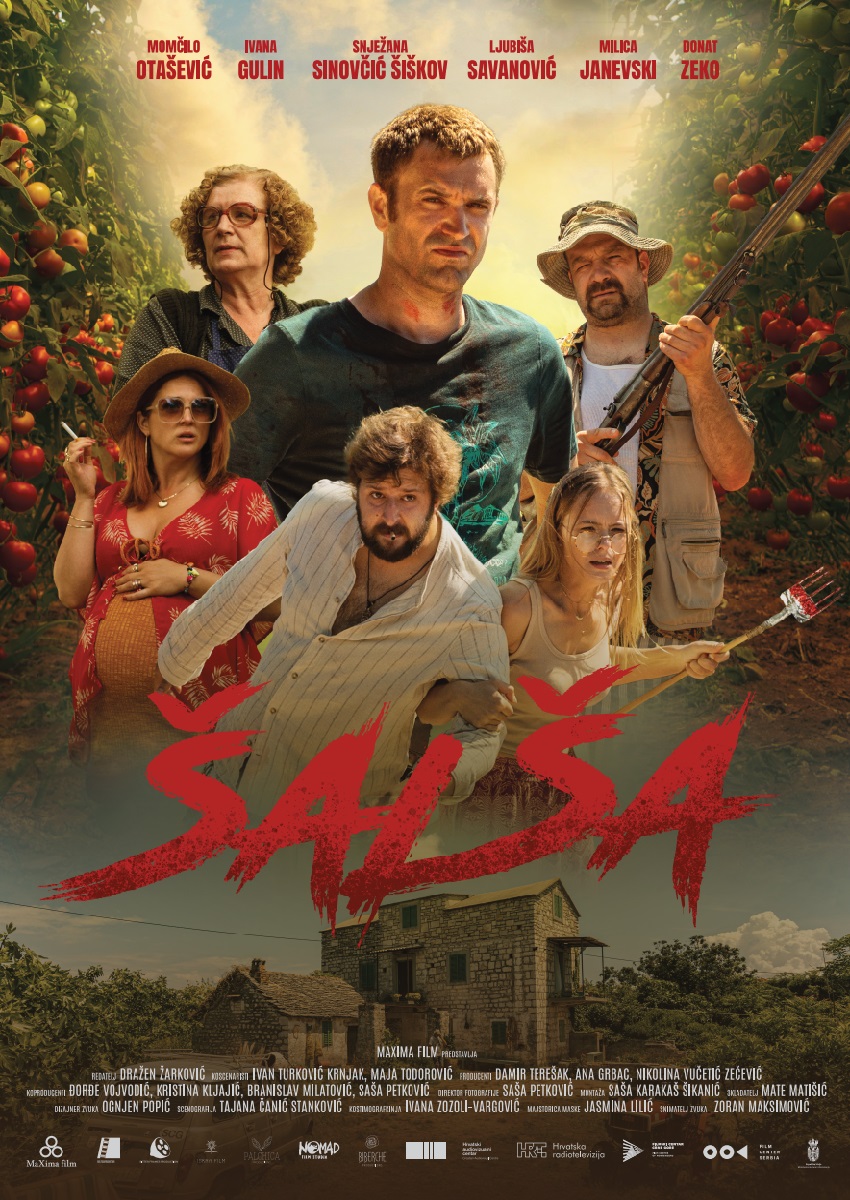 Poster of Salsa