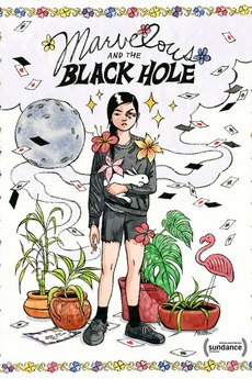 Poster of Marvelous and the Black Hole