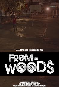 Primary photo for From the Woods Primary photo for From the Woods