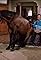 A Horse Is a Horse's primary photo