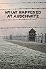 Primary photo for What Happened at Auschwitz Primary photo for What Happened at Auschwitz