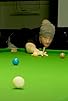 Primary photo for Neil Robertson Shares His SECRETS For Long Potting Success!