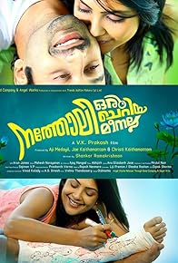 Primary photo for Natholi Oru Cheriya Meenalla Primary photo for Natholi Oru Cheriya Meenalla