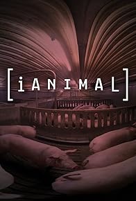 Primary photo for iAnimal: Through the Eyes of a Pig Primary photo for iAnimal: Through the Eyes of a Pig