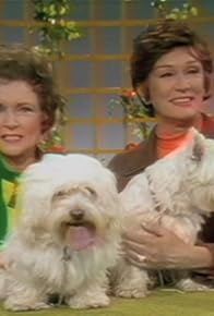 Primary photo for Episode #1.6