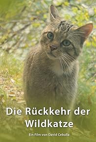 Primary photo for Die Rückkehr der Wildkatze