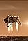 MARS: Phoenix Odyssey's primary photo