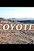 Primary photo for The Coyote