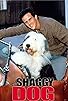 Primary photo for The Shaggy Dog Primary photo for The Shaggy Dog