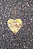 Primary photo for Heart for Joy Primary photo for Heart for Joy