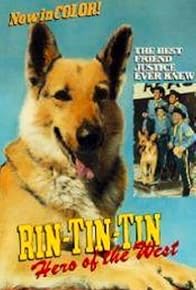Primary photo for Rin-Tin-Tin: Hero of the West Primary photo for Rin-Tin-Tin: Hero of the West