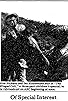 Primary photo for The Winged Colt