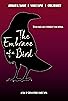 Primary photo for The Embrace of a Bird