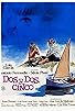 Primary photo for Dos y dos, cinco Primary photo for Dos y dos, cinco