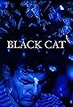 Black Cat's primary photo