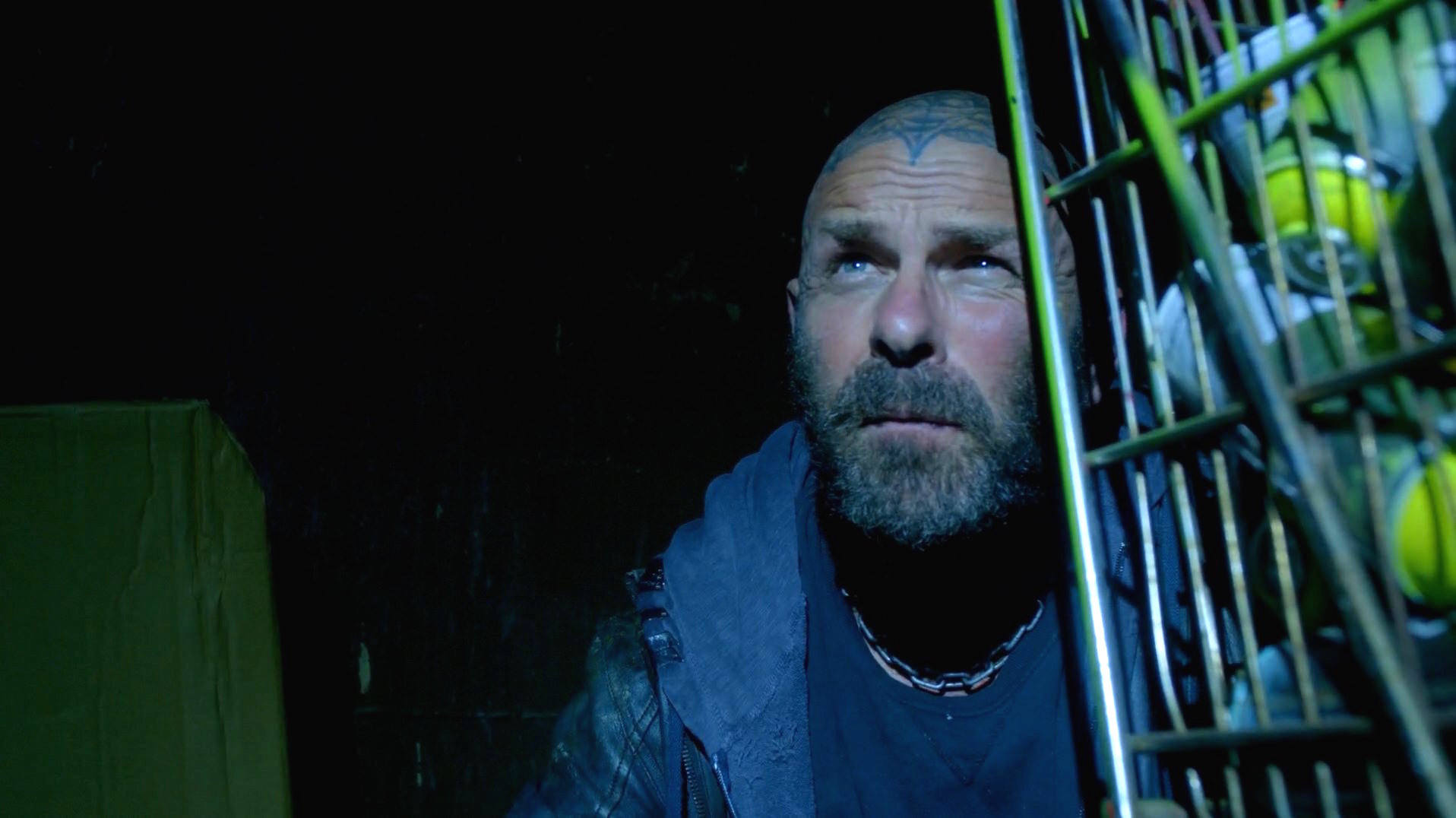 Tim Armstrong - IMDb