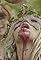 The Bacchae's primary photo