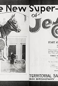 Primary photo for The Tenderfoot