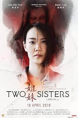 Poster of Two Sisters 2