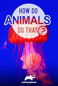 Primary photo for How Do Animals Do That?
