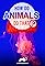 How Do Animals Do That?'s primary photo
