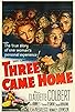 Primary photo for Three Came Home