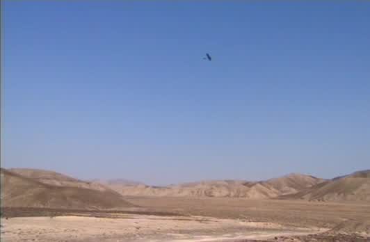 その他 Digging for the Truth: Secrets of the Nasca Lines [DVD] Nasca Lines: The Buried Secrets: Amazon.ca: NASCA LINES