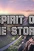Primary photo for Spirit of the Storm!
