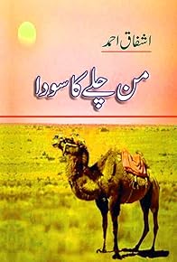 Primary photo for Mann Chalay Ka Sauda