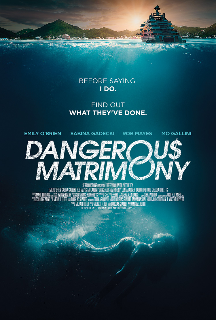Poster of Dangerous Matrimony 