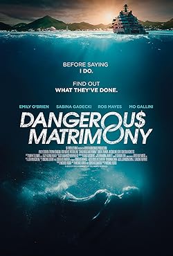 Poster of Dangerous Matrimony 