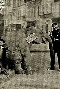 Primary photo for Tiny Tim and the Adventures of His Elephant