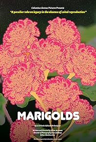 Primary photo for Marigolds