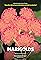 Marigolds's primary photo