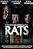 Primary photo for Rats Primary photo for Rats