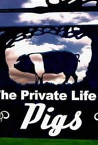 Primary photo for Pigs
