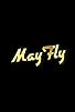 Primary photo for Mayfly Primary photo for Mayfly