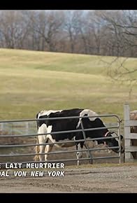 Primary photo for Cevennen: Auf den Spuren von Robert Louis Stevenson - Neuseeland: die Glücksbienen - Sizilien: Deborahs Nudelpastete - New York: die tödliche Milch
